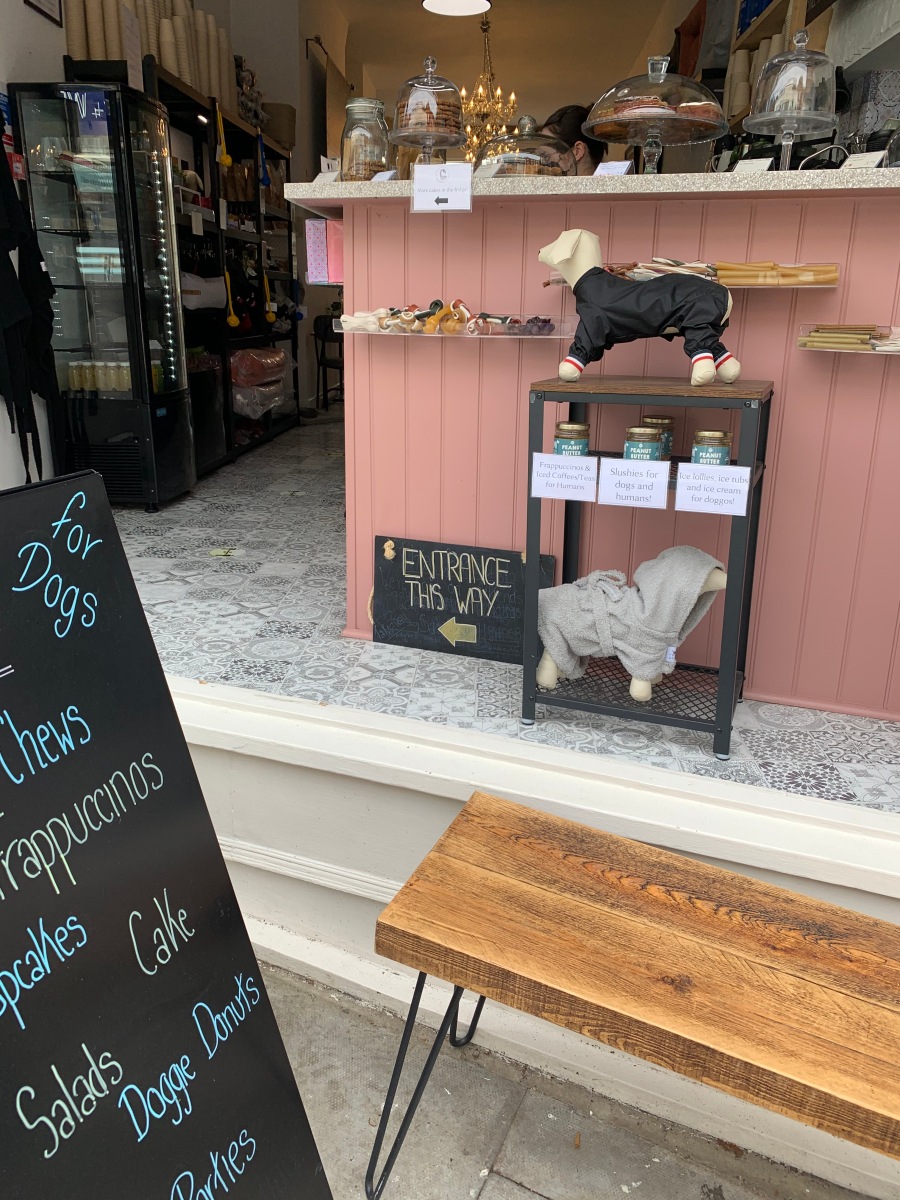 Dandie Dog Cafe, Hampstead (Now closed)